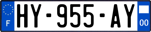 HY-955-AY