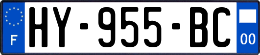 HY-955-BC
