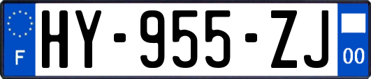 HY-955-ZJ