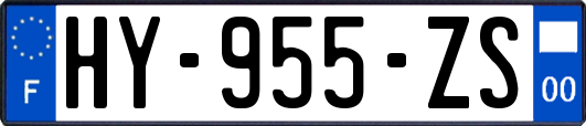 HY-955-ZS