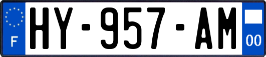 HY-957-AM