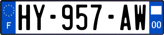 HY-957-AW