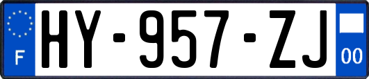 HY-957-ZJ