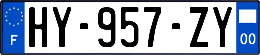 HY-957-ZY