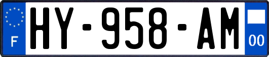 HY-958-AM