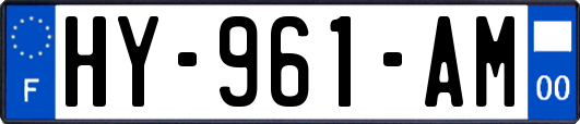 HY-961-AM