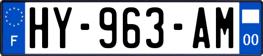 HY-963-AM