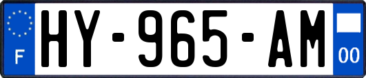 HY-965-AM