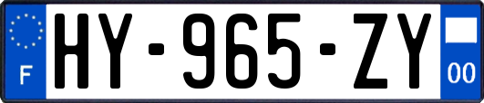 HY-965-ZY