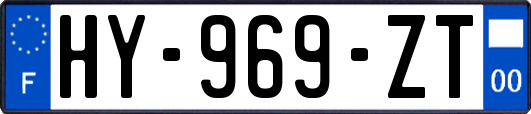 HY-969-ZT