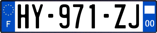 HY-971-ZJ