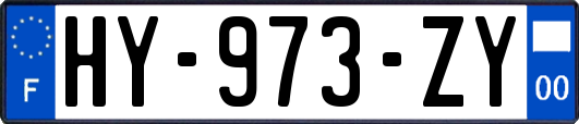 HY-973-ZY