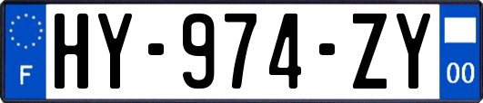 HY-974-ZY