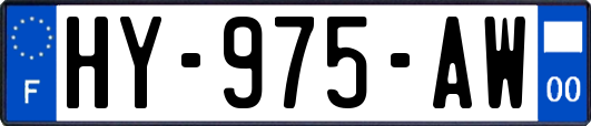 HY-975-AW