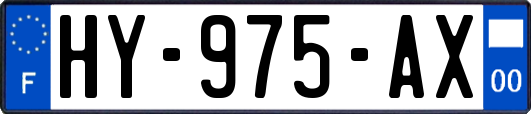 HY-975-AX