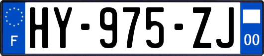 HY-975-ZJ