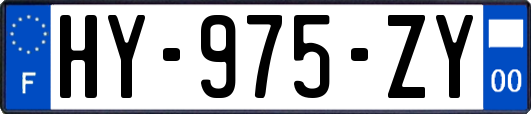 HY-975-ZY