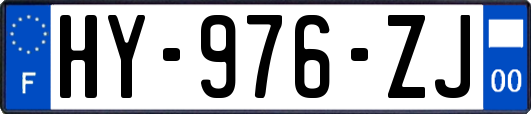 HY-976-ZJ