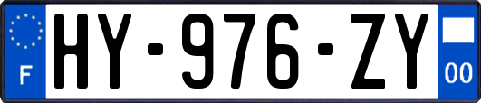 HY-976-ZY