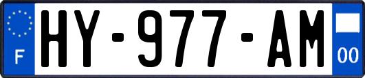 HY-977-AM