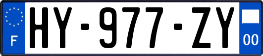 HY-977-ZY