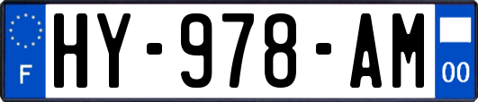 HY-978-AM