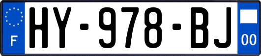 HY-978-BJ