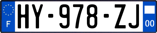 HY-978-ZJ