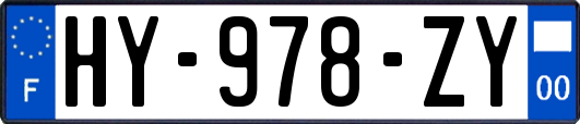 HY-978-ZY