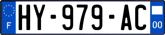 HY-979-AC