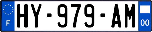 HY-979-AM