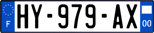 HY-979-AX