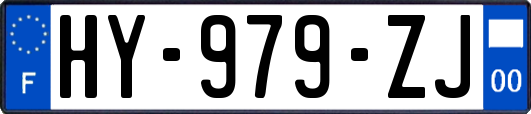 HY-979-ZJ