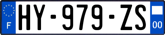 HY-979-ZS