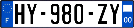 HY-980-ZY