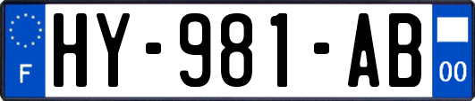 HY-981-AB