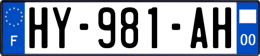HY-981-AH