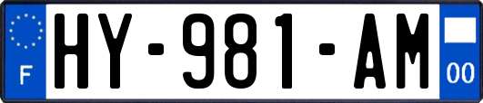 HY-981-AM