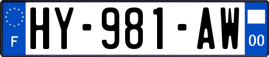 HY-981-AW