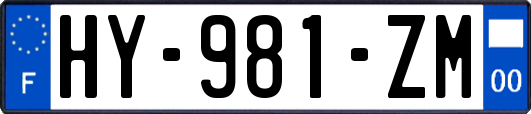 HY-981-ZM