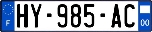 HY-985-AC