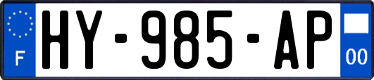 HY-985-AP