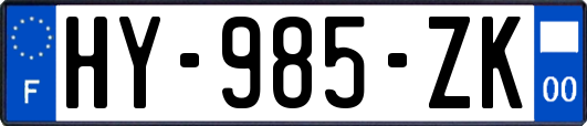 HY-985-ZK
