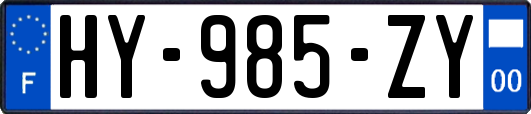 HY-985-ZY