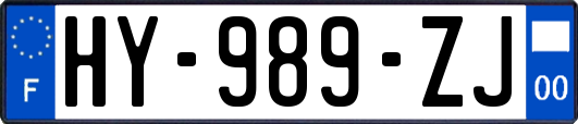 HY-989-ZJ