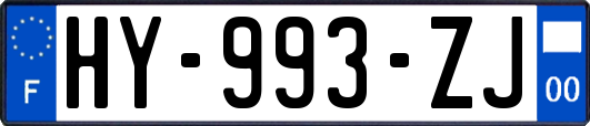HY-993-ZJ