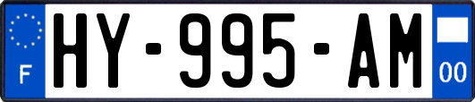HY-995-AM