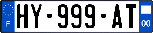 HY-999-AT