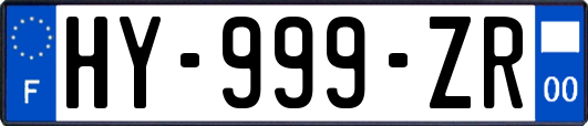 HY-999-ZR