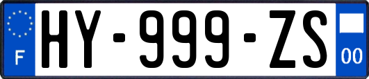HY-999-ZS